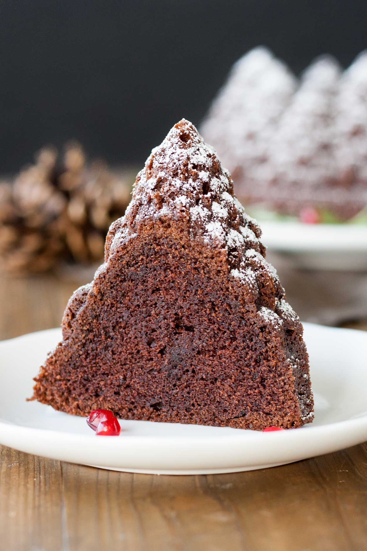 A close up of a piece of chocolate cake on a plate