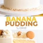 This Banana Pudding Cake combines all of the elements of the classic southern dessert. Vanilla cake, banana pudding, and vanilla wafers with vanilla buttercream and fresh whipped cream. | livforcake.com