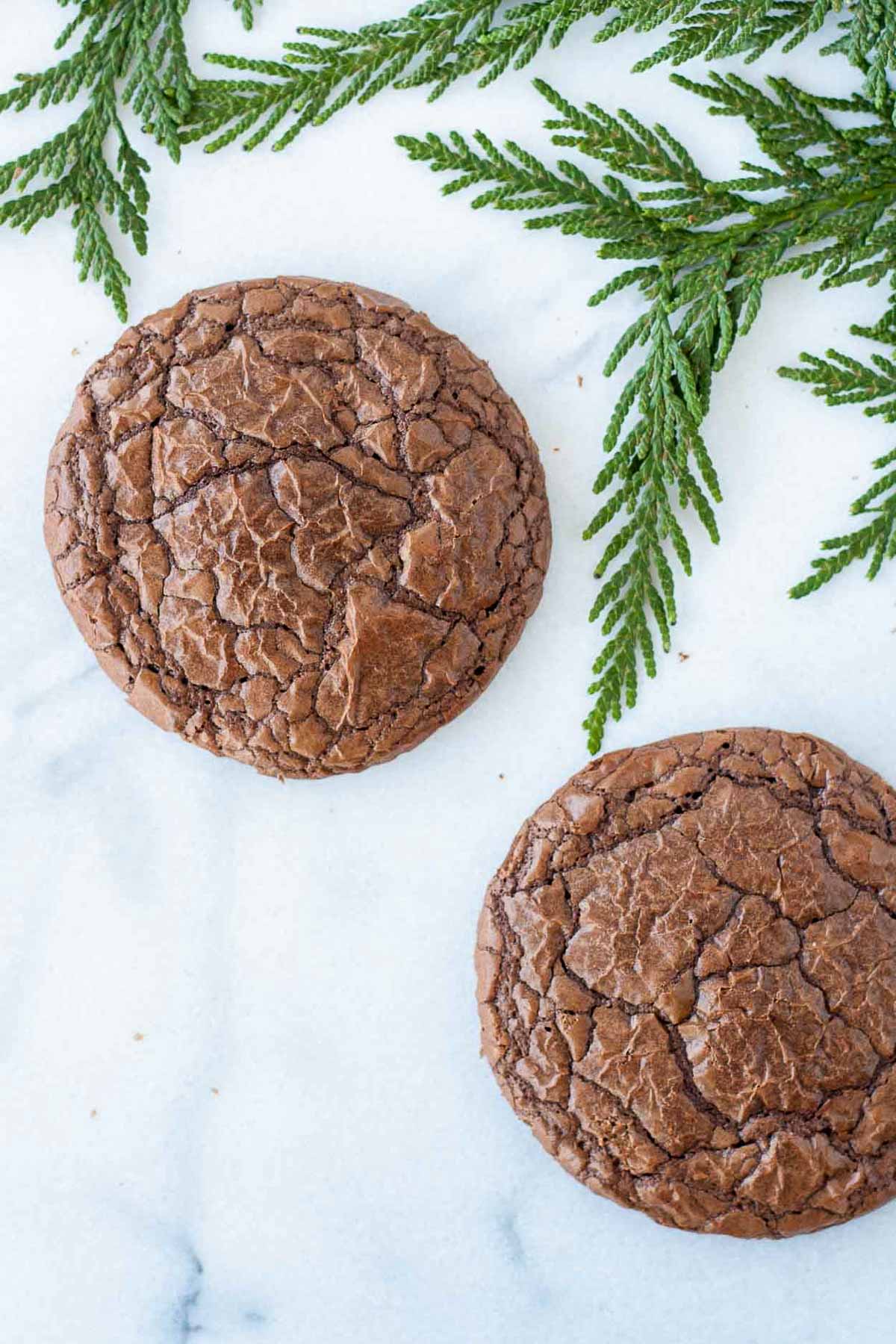 Overhead of two brownie cookies