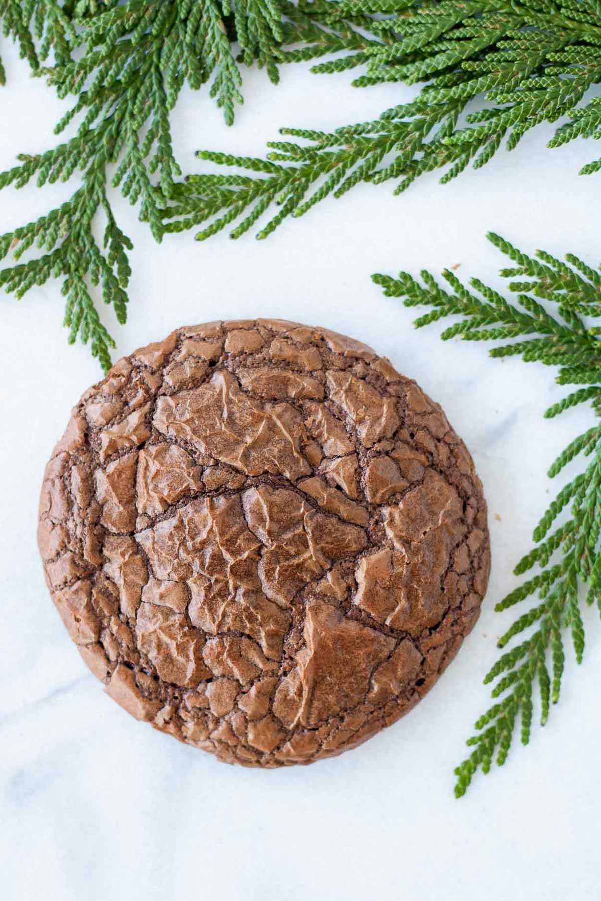 Overhead picture of a single brownie cookie