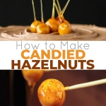 A tutorial on how to make Candied Hazelnuts. | livforcake.com