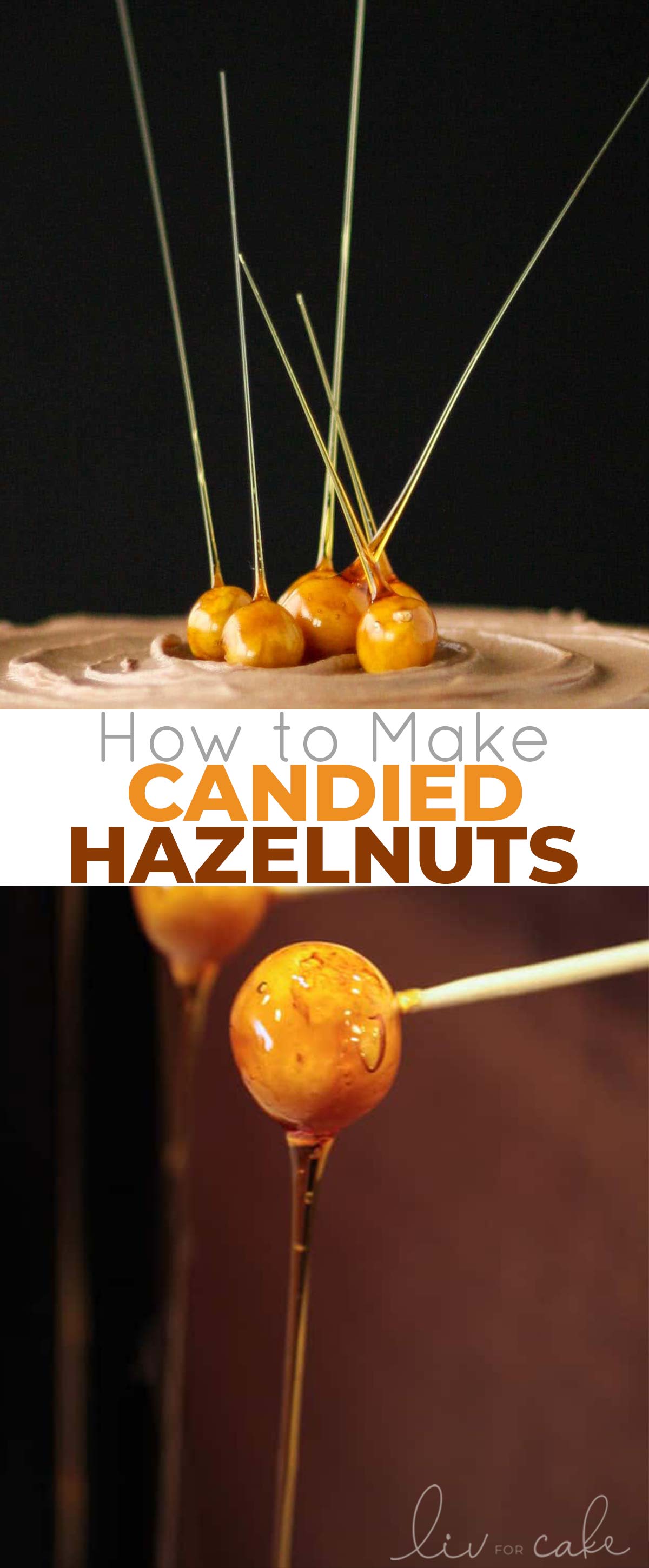 Candied hazelnuts collage.