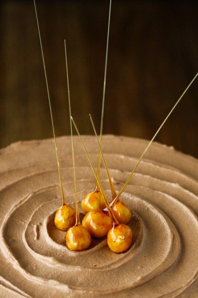 Candied hazelnuts on top of a cake.