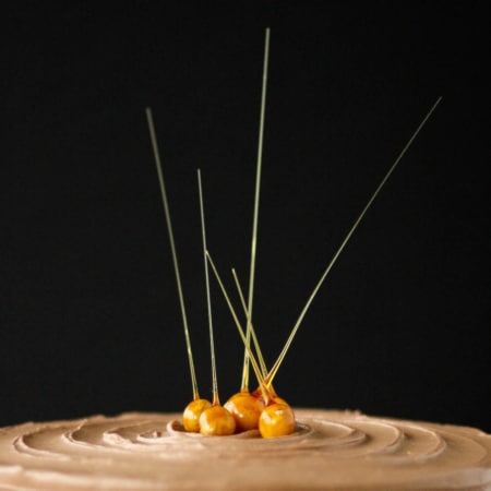 Close up of the candied hazelnuts on top of the cake.