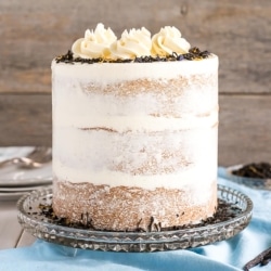 Naked cake on a cake stand.