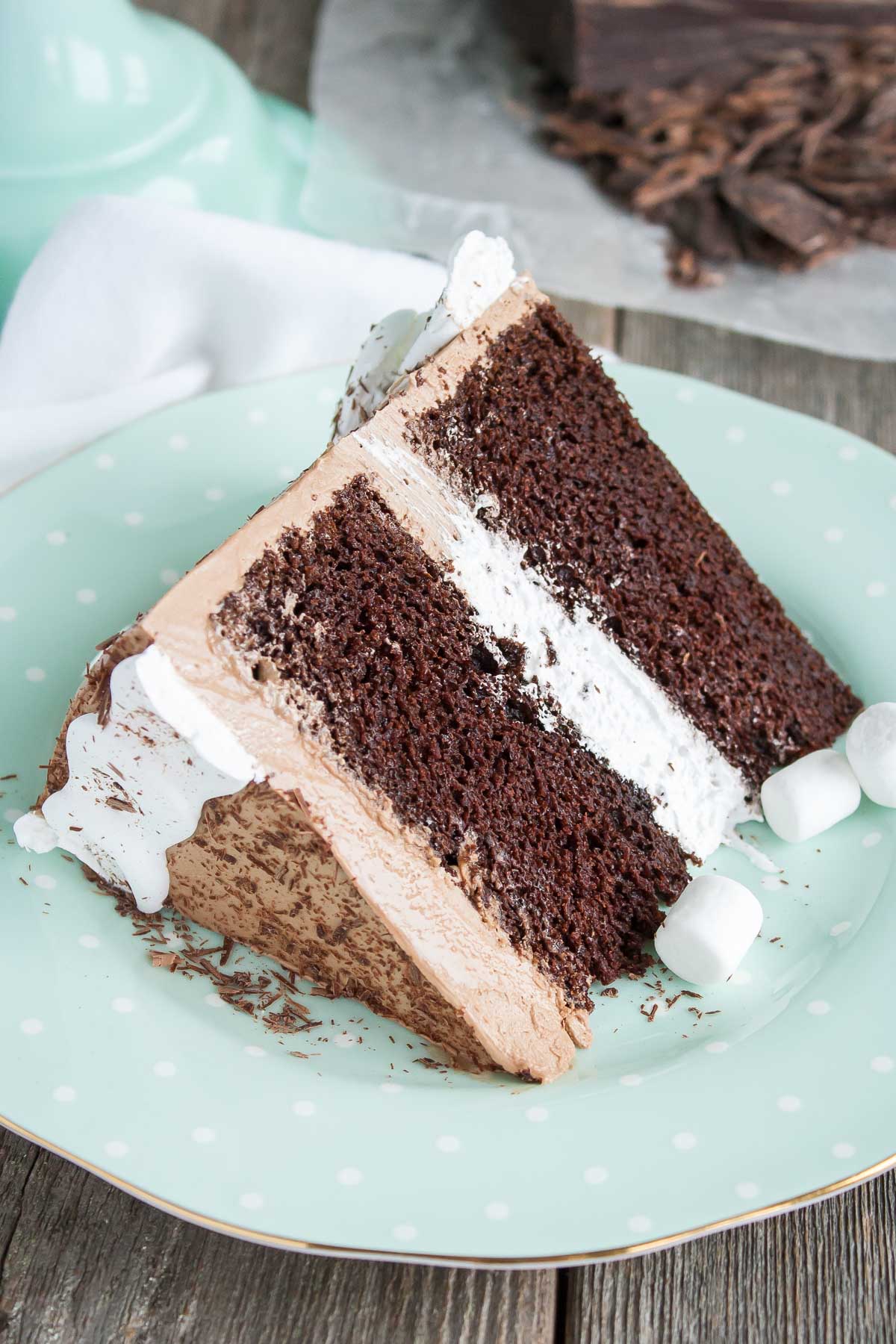 A piece of chocolate cake on a plate