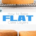 Learn how to bake flat cakes every single time! A simple tutorial on how to make sure your cakes come out nice and flat straight out of the oven. | livforcake.com