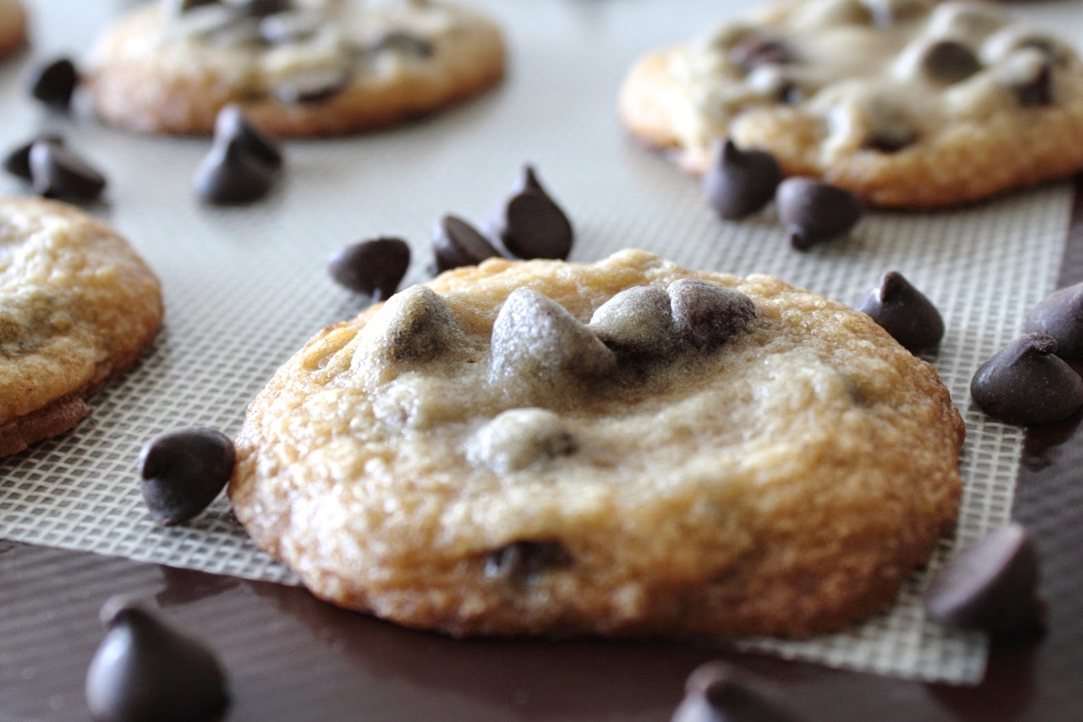 A close up of a cookie