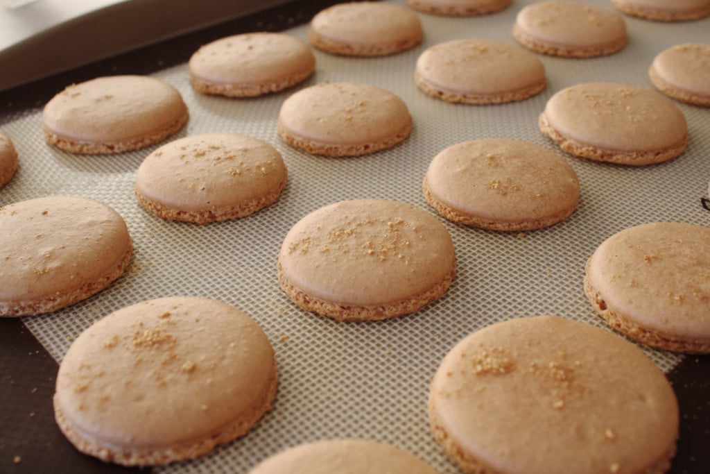 Macarons on a baking sheet.