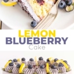 Lemon Blueberry Cake! A moist and delicious lemon cake with fresh blueberries and a blueberry buttercream. | livforcake.com