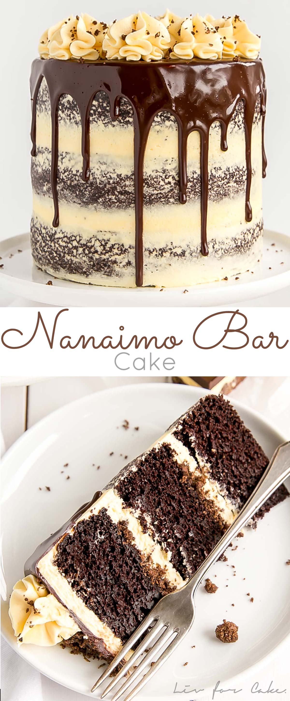 Nanaimo Bar Cake Collage