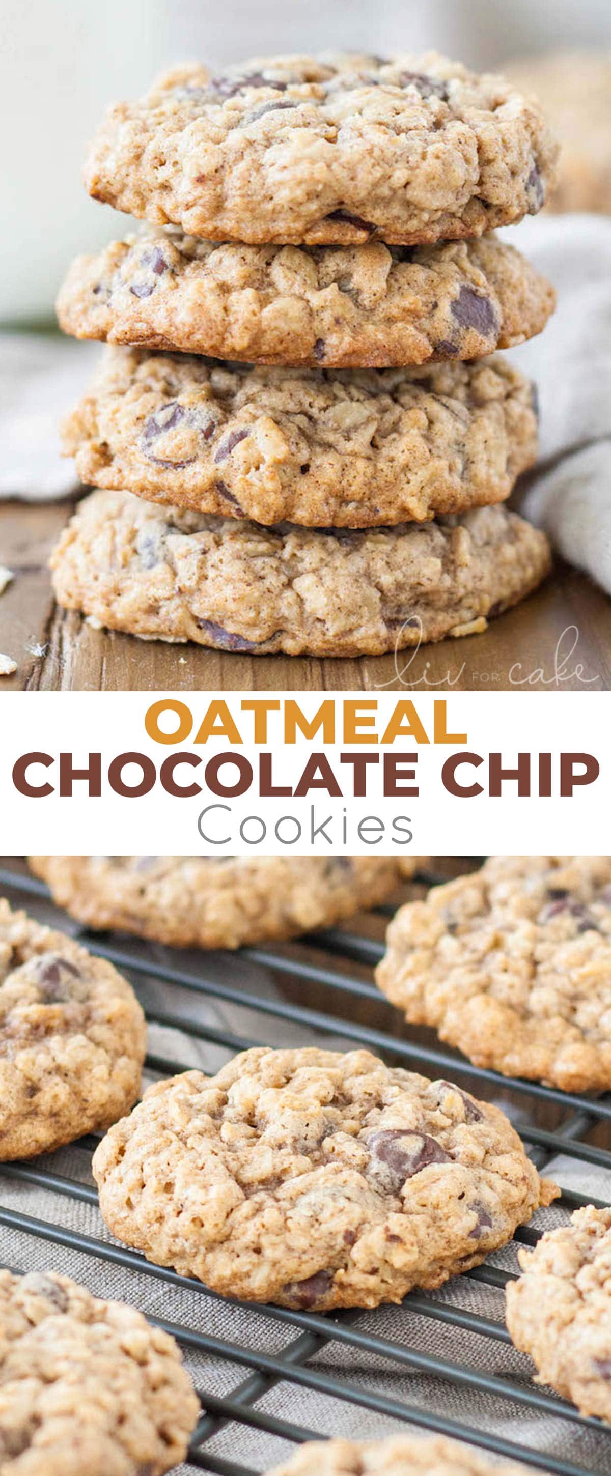 Oatmeal Chocolate Chip Cookie photo collage