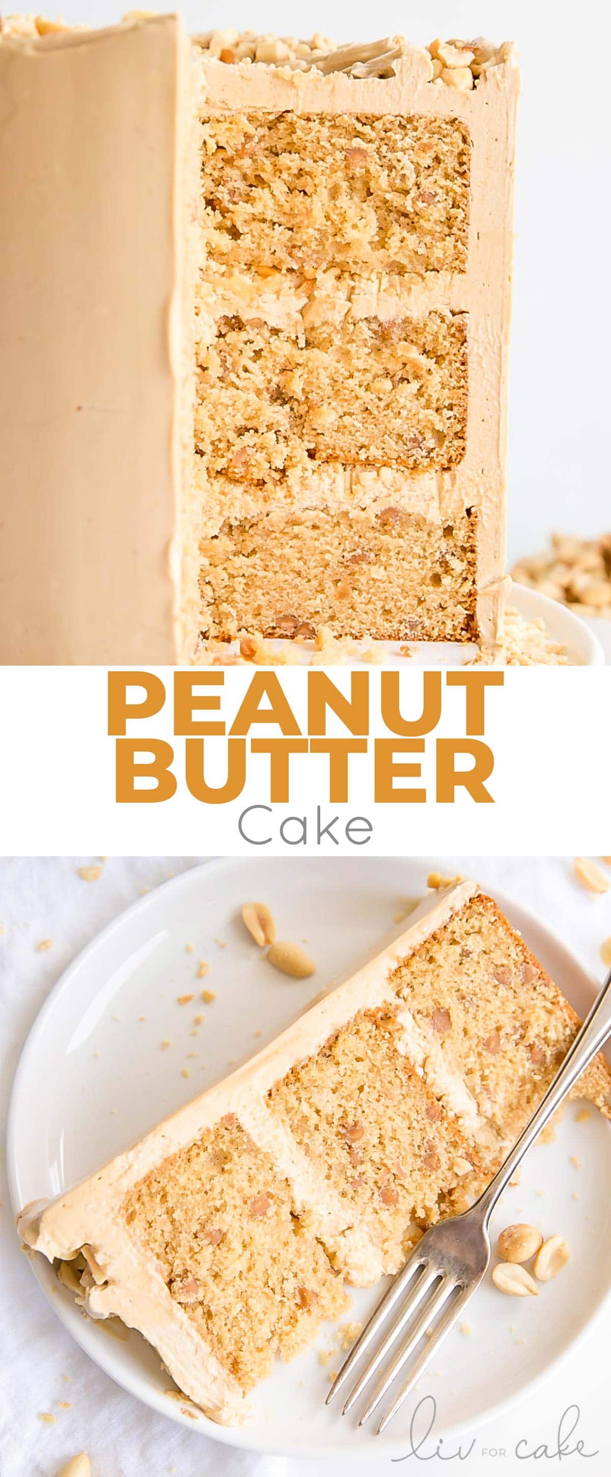 Peanut butter cake collage