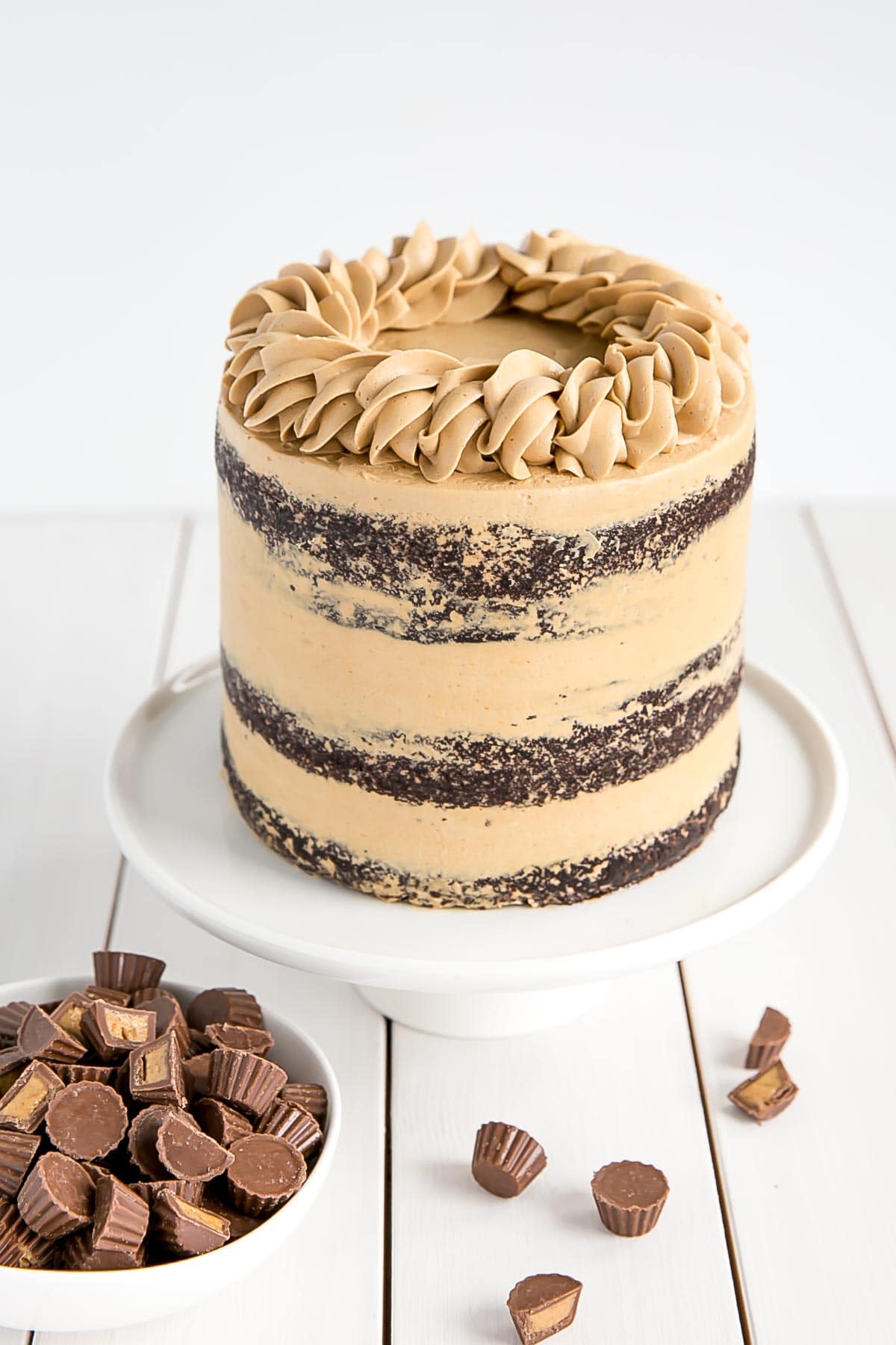 Chocolate Peanut Butter Cake