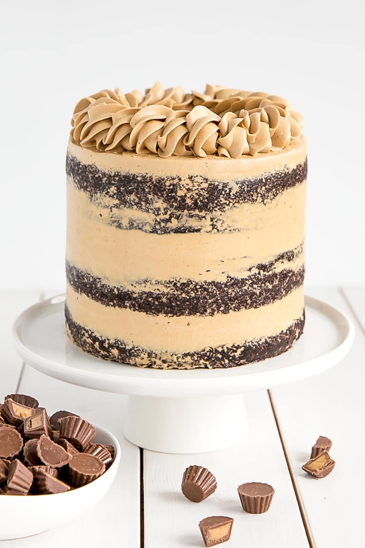 Peanut Butter Chocolate Cake