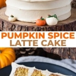 Pumpkin spice latte cake photo collage