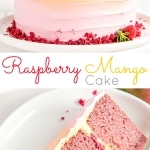 This Raspberry Mango Cake is the perfect way to celebrate the summer months. Raspberry cake layers and a heavenly mango frosting. | livforcake.com