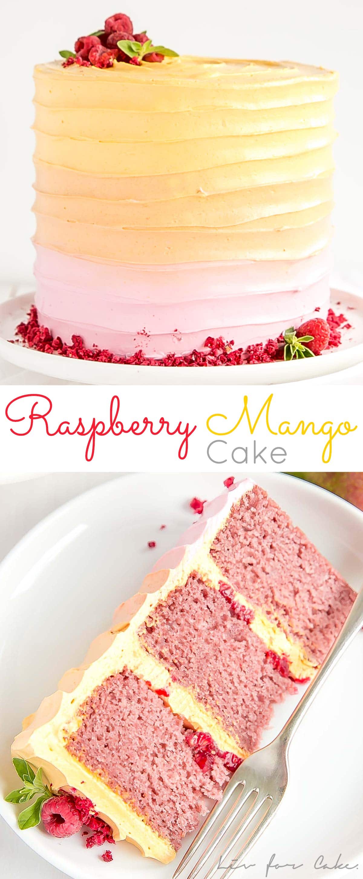 This Raspberry Mango Cake is the perfect way to celebrate the summer months!