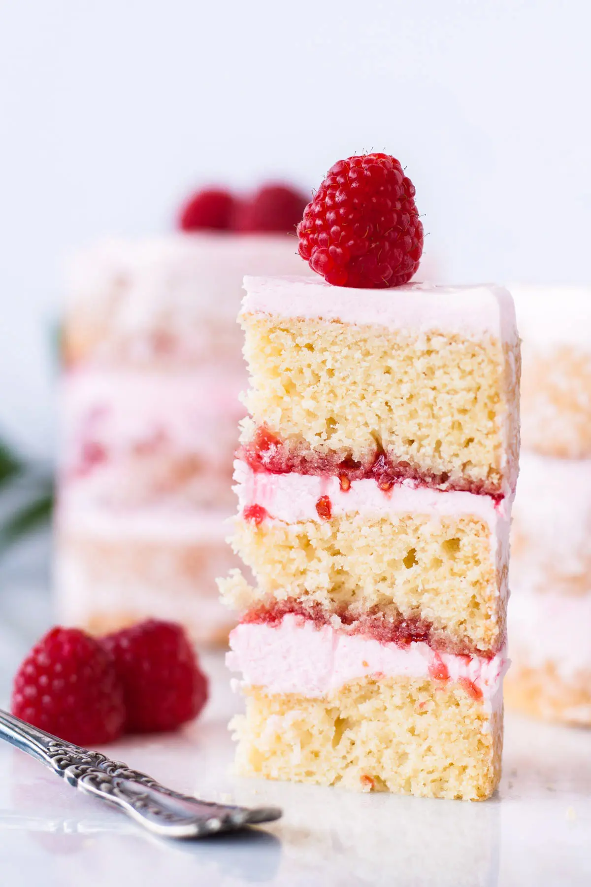 A close up of a slice of cake on a plate