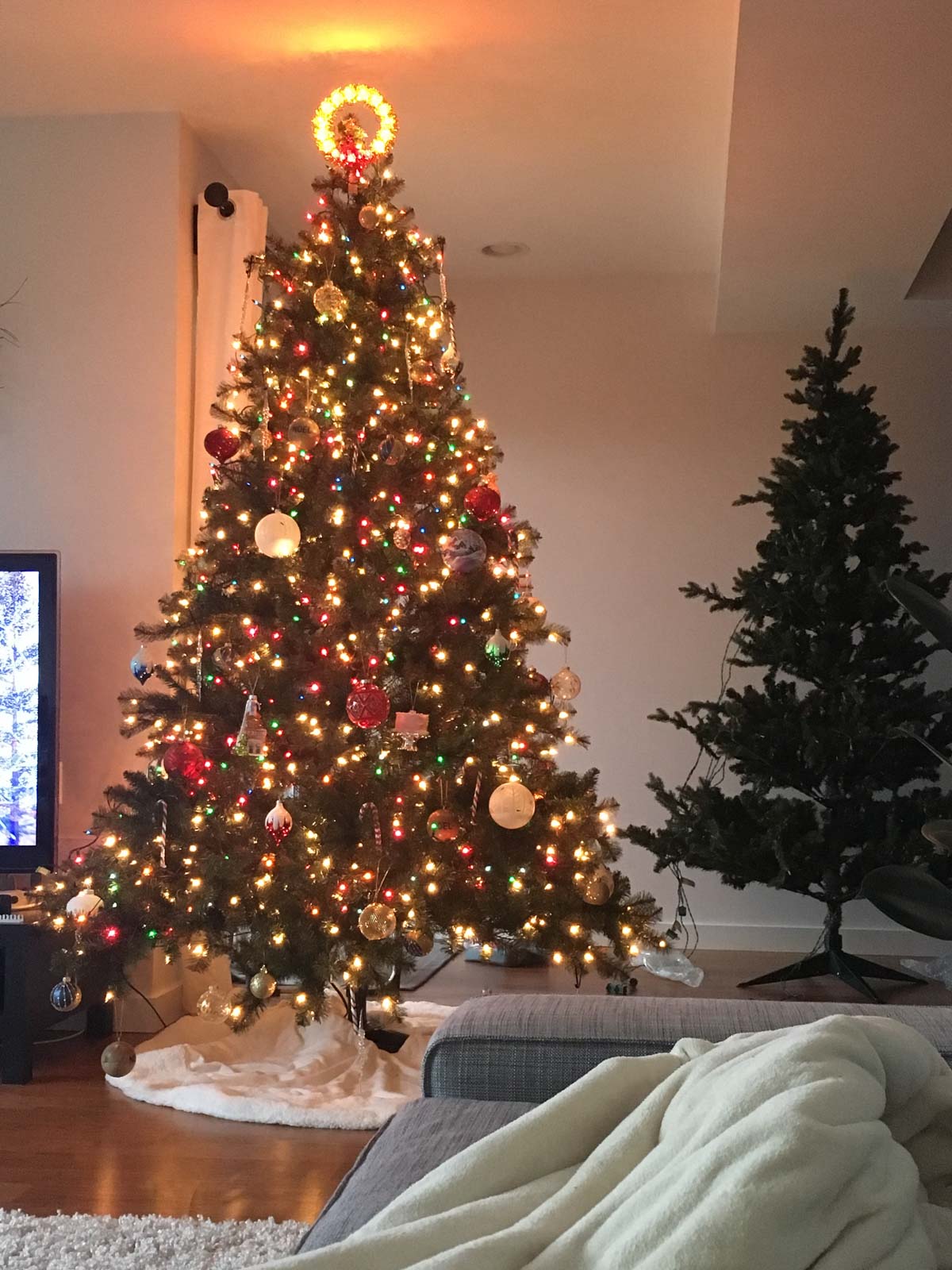 A christmas tree in a room